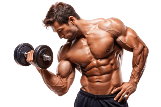 gym in kolkata